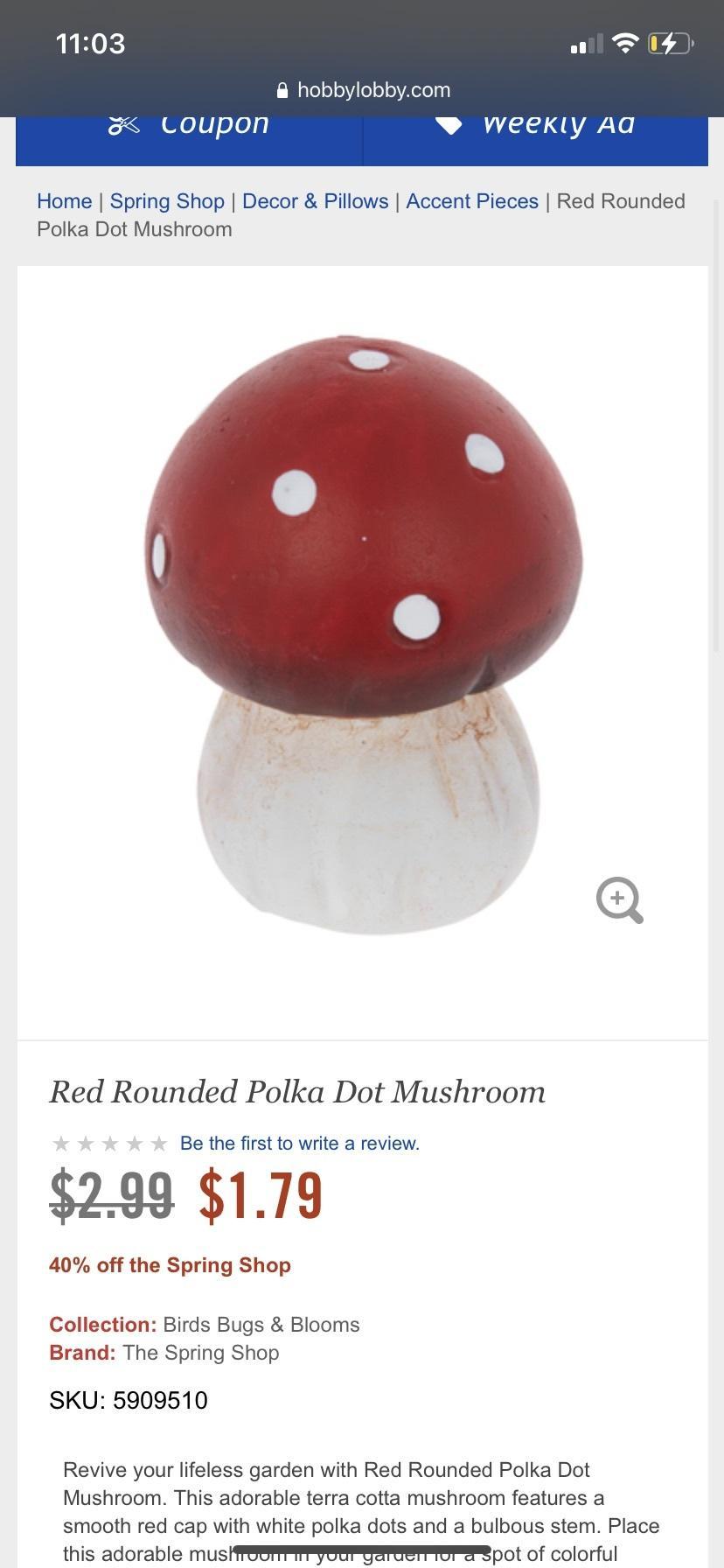 Lady Bug profile image