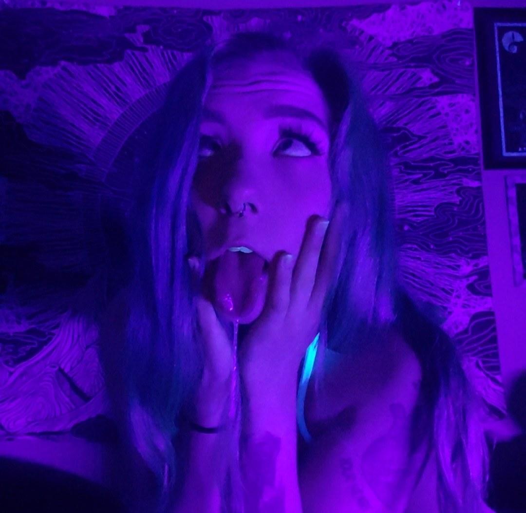 Maizy kitten profile image