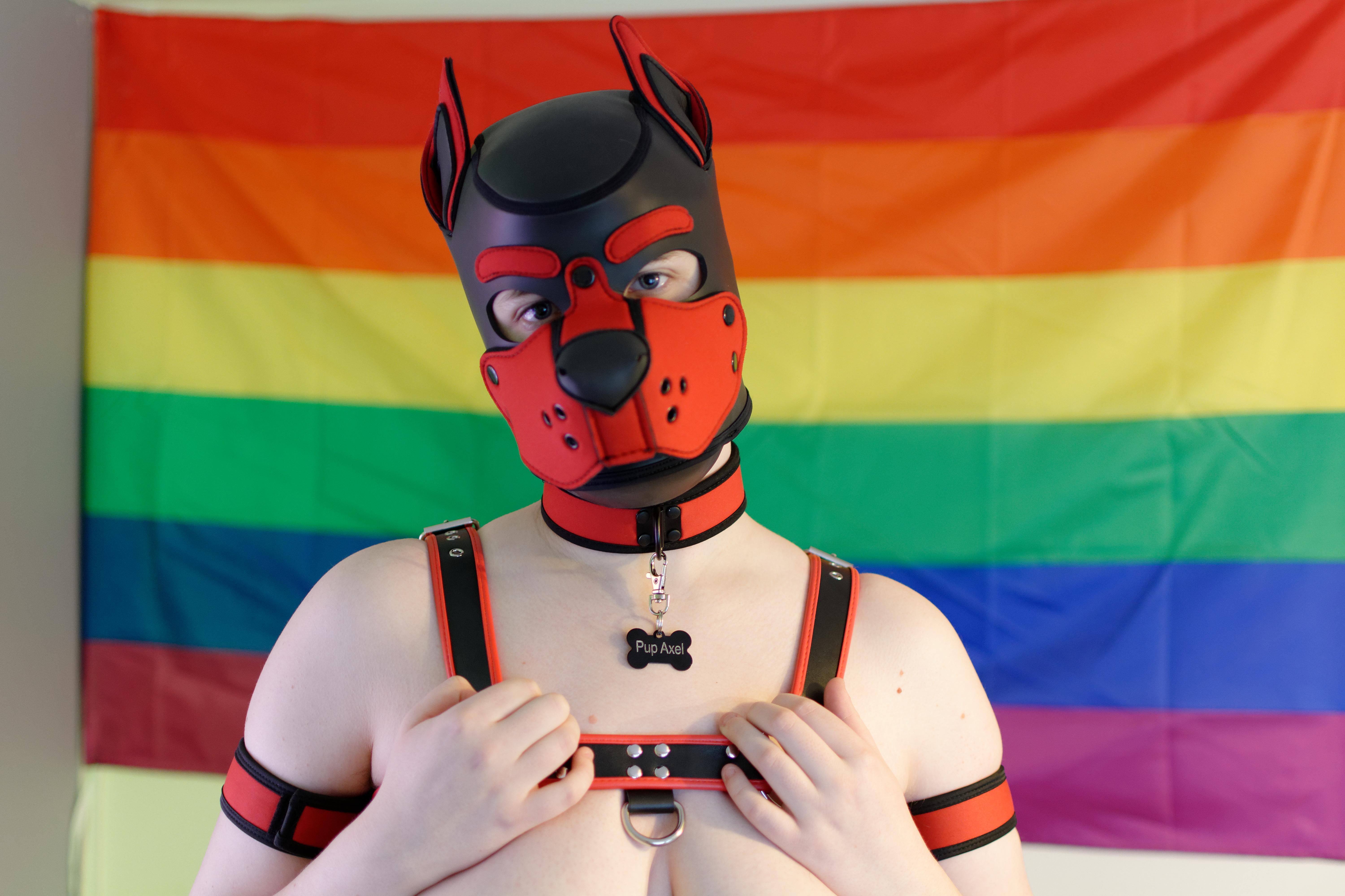 Pup Axel profile image