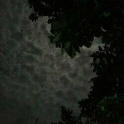 oohsexy profile image