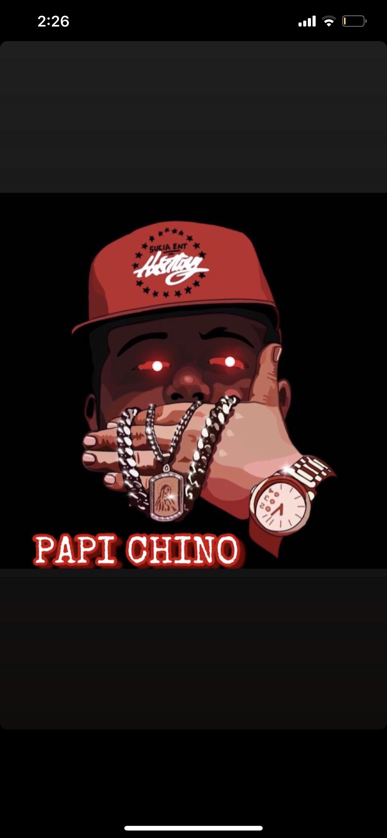 PAPI profile image