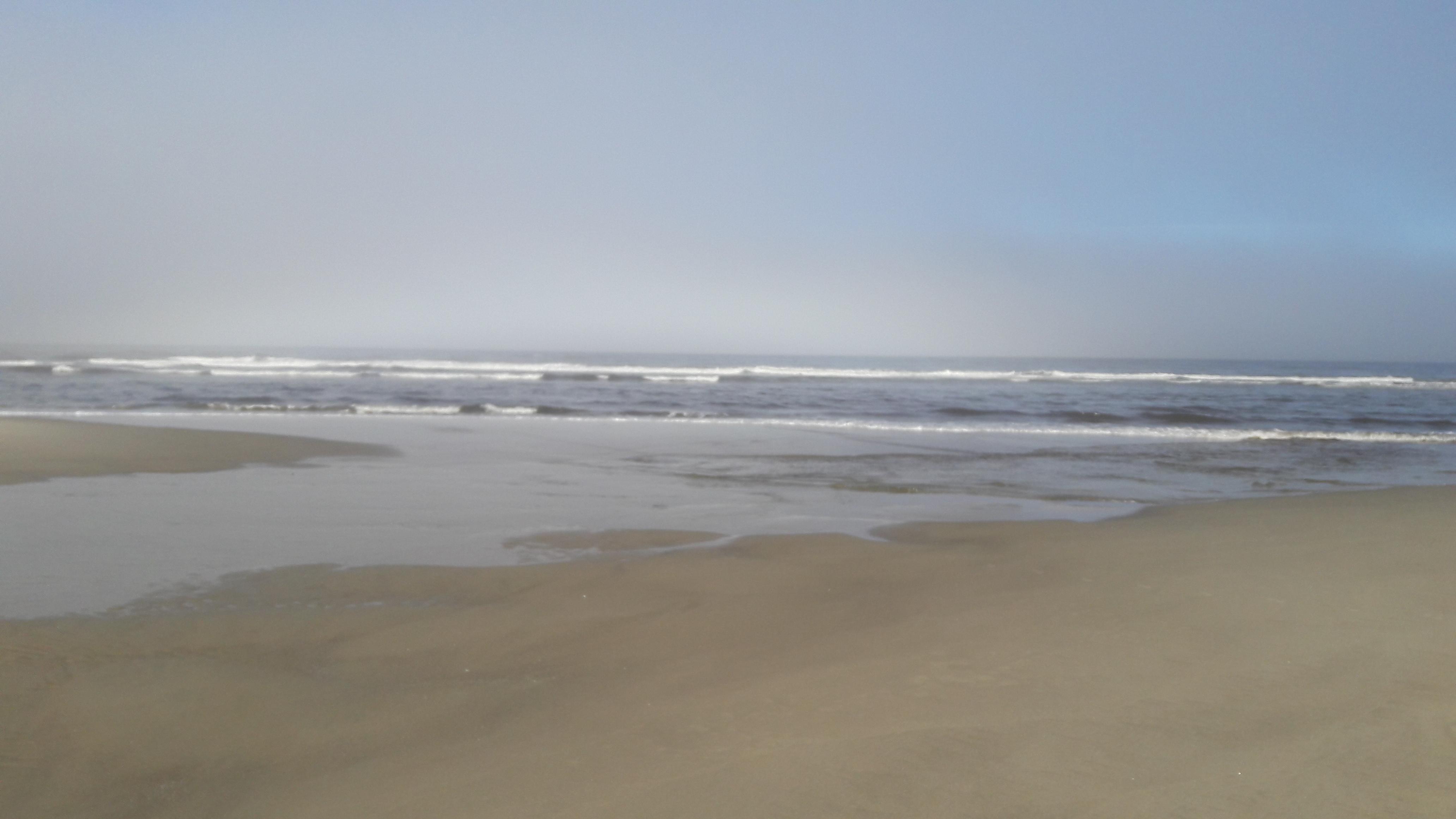 Gay Couple profile image