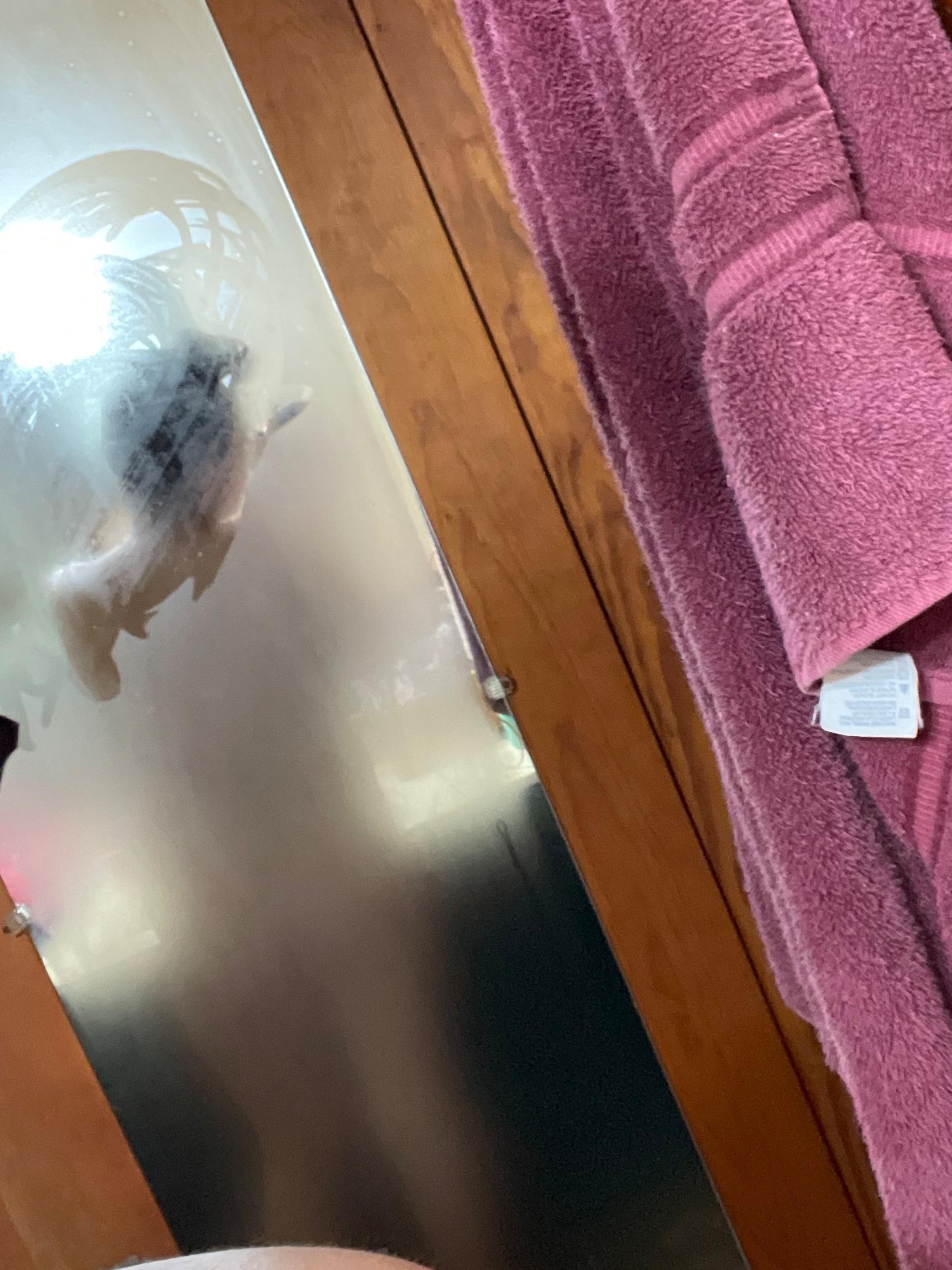 u27201779 profile image