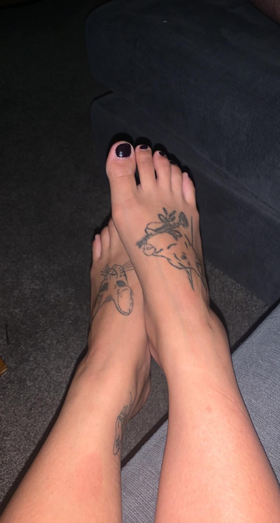 thegardenhoe profile image