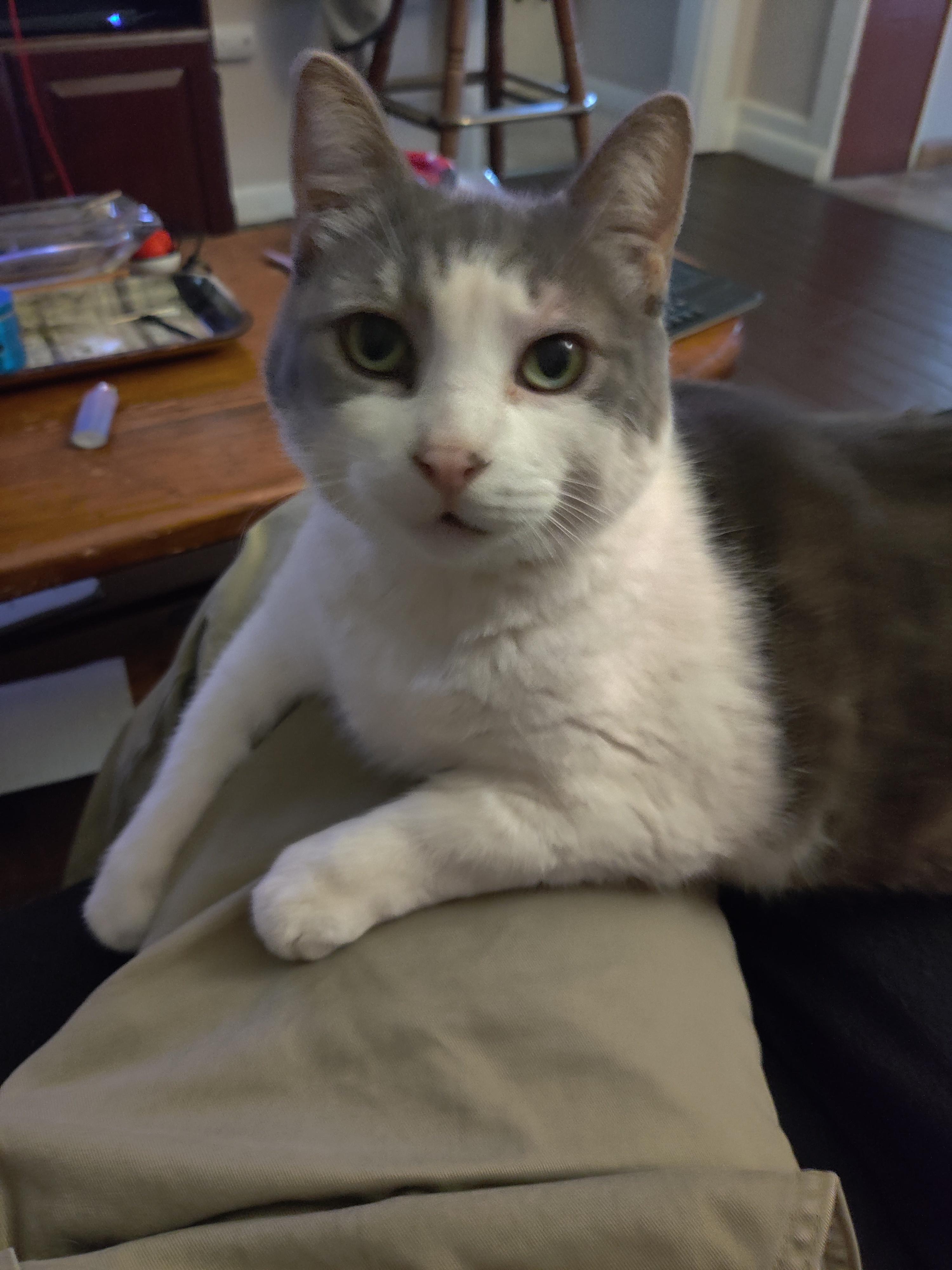 Lee's Page profile image