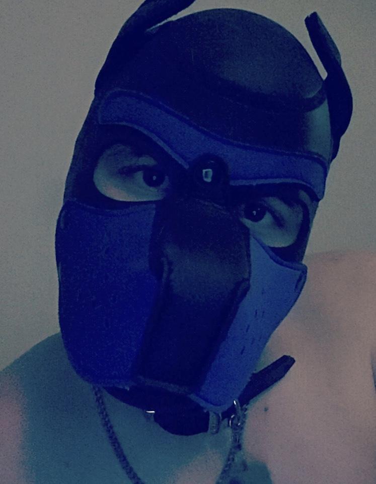 Diesel profile image