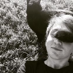 hannesflo profile image