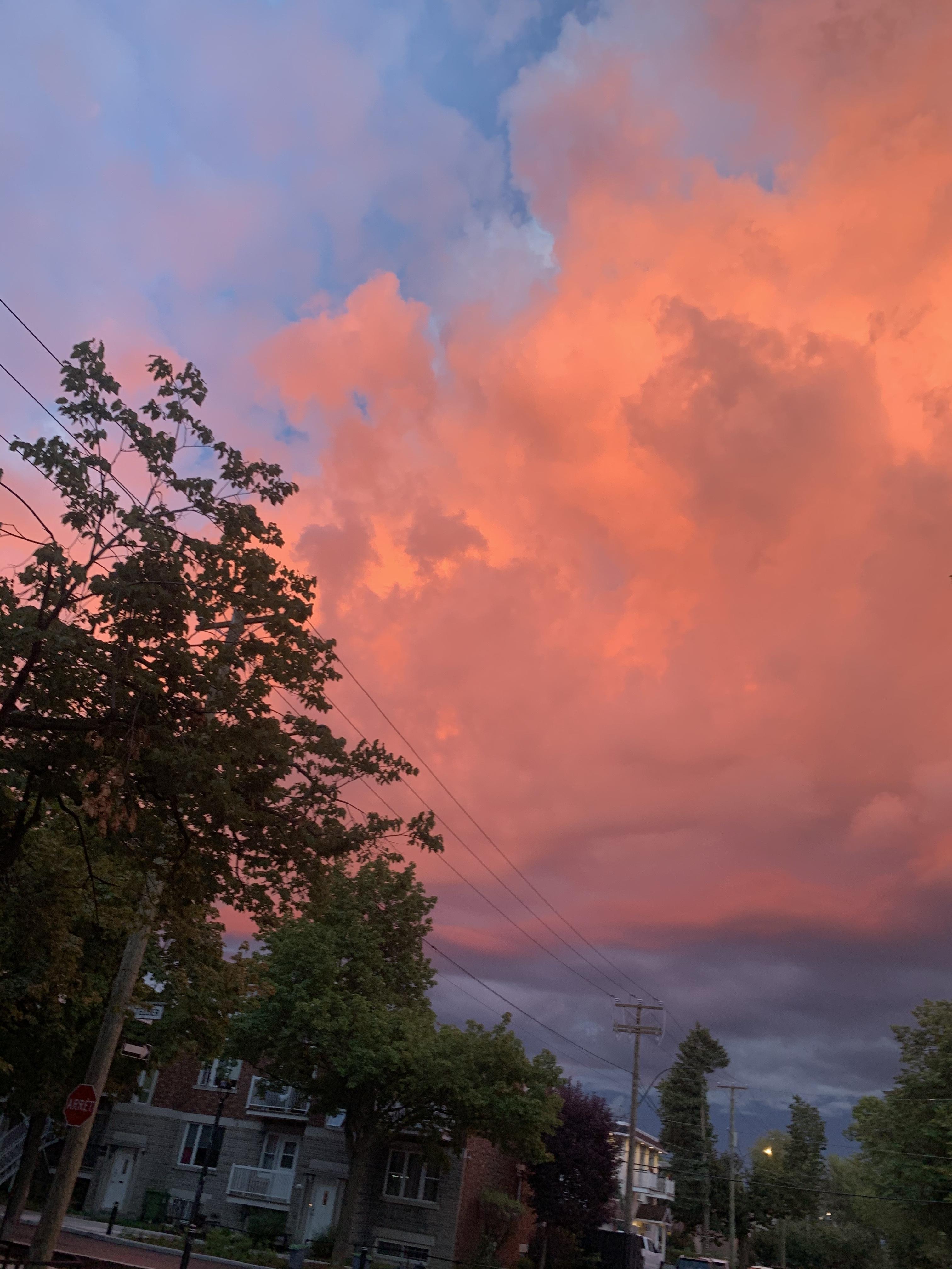 Peachy🍑 profile image