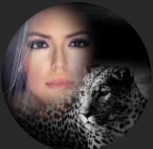 Biblical Secrets to Save Marriage profile image