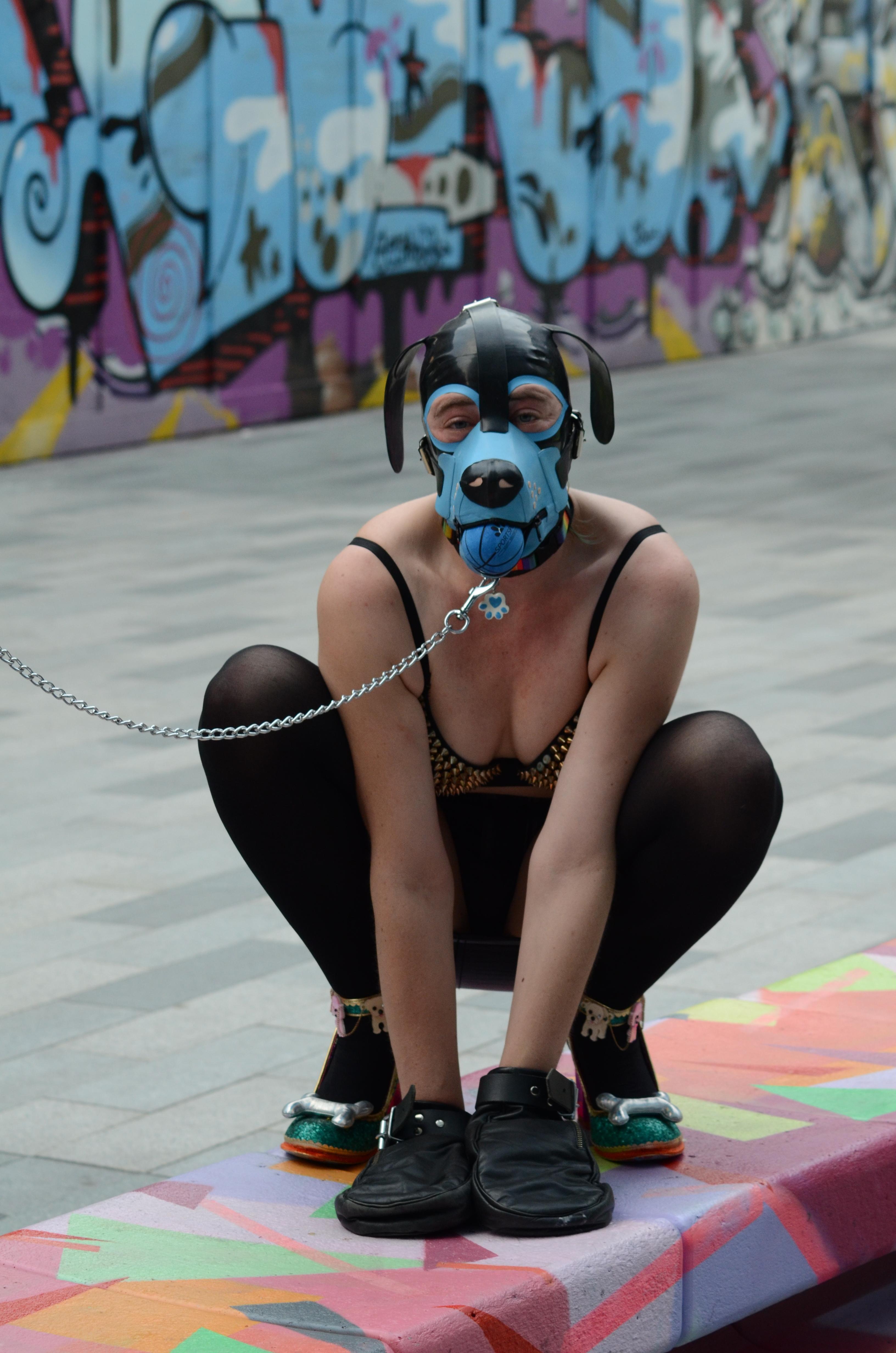 Naughty Pup Topaz profile image