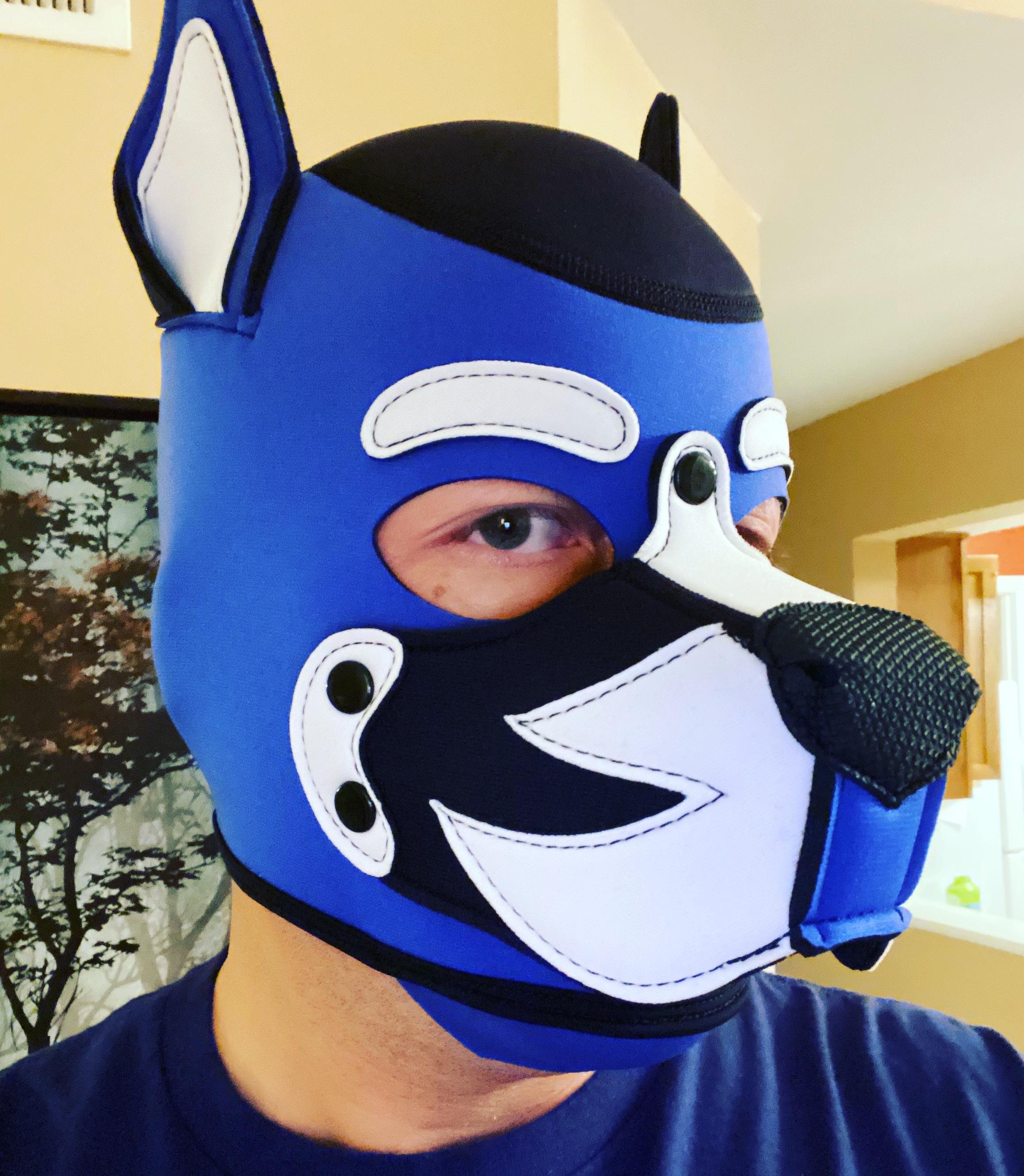 Leo’s Onlyfans profile image