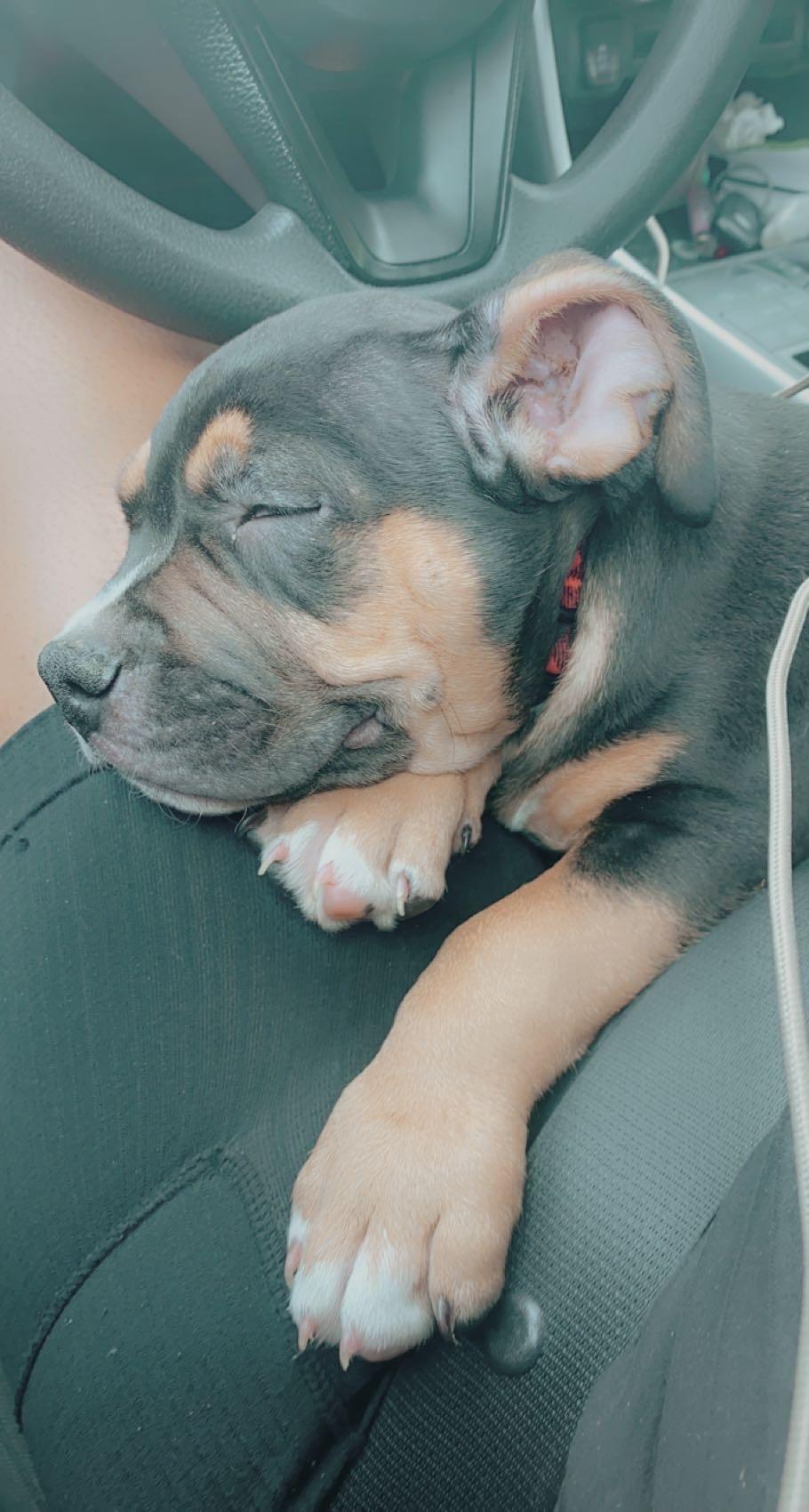 Cookie Nash profile image