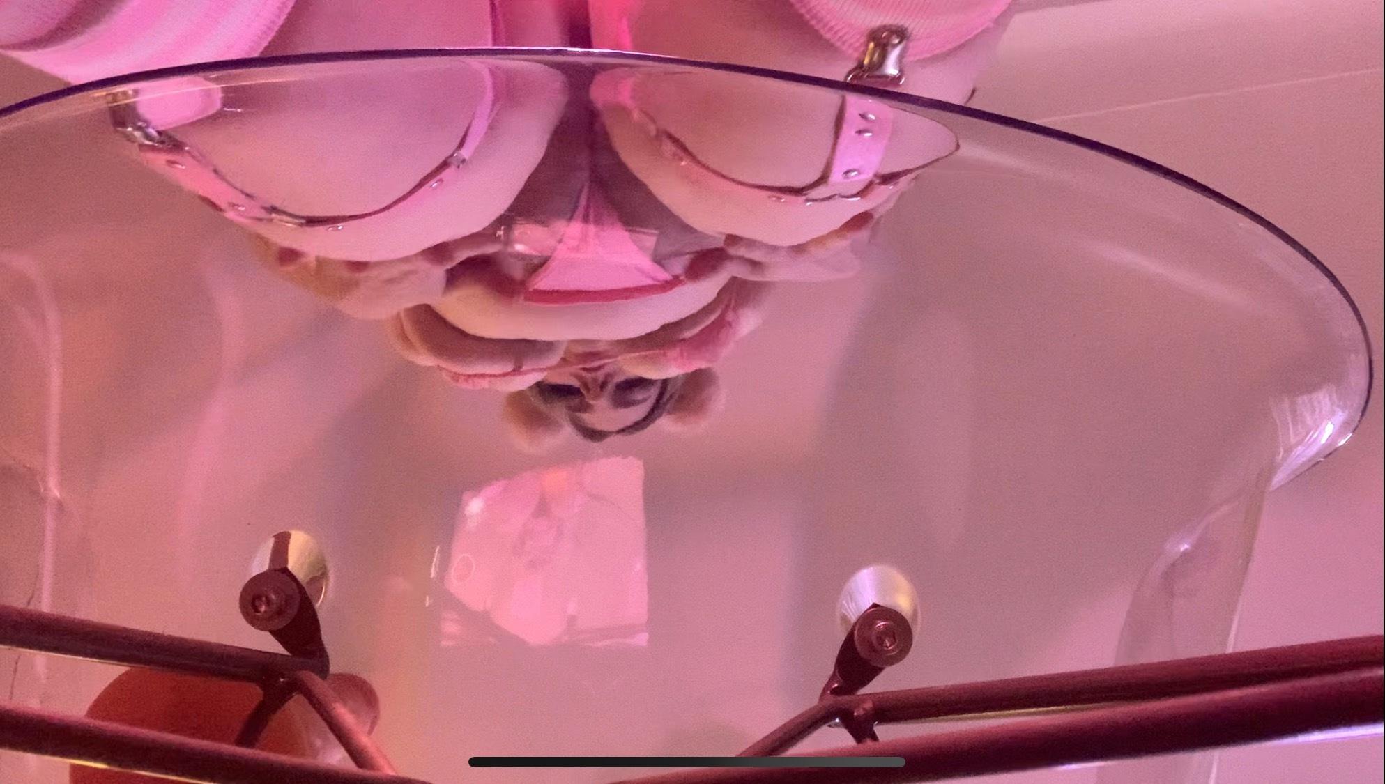 💓 AutumxSnow the Bimbo Brat 💓 profile image