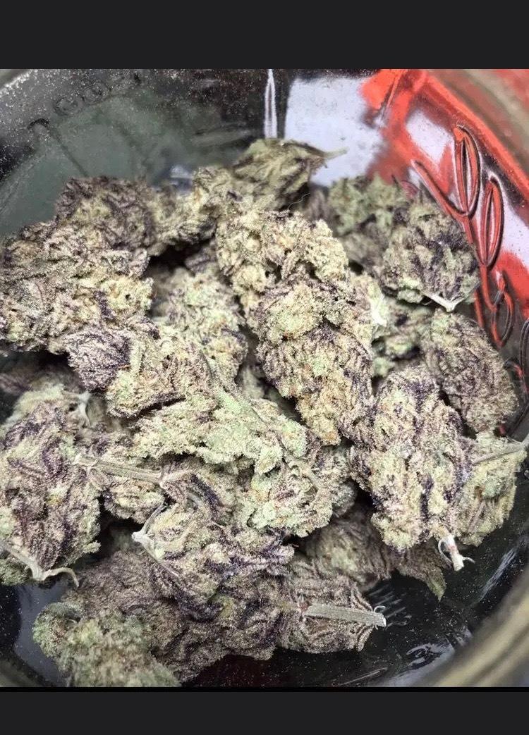 Local stoner 😋 profile image