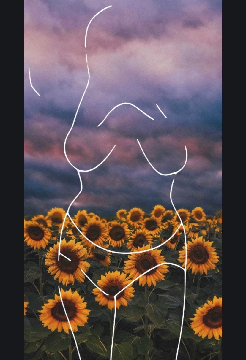 Alexis Texas 2.0 profile image