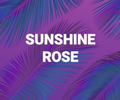 Sunshine Rose profile image