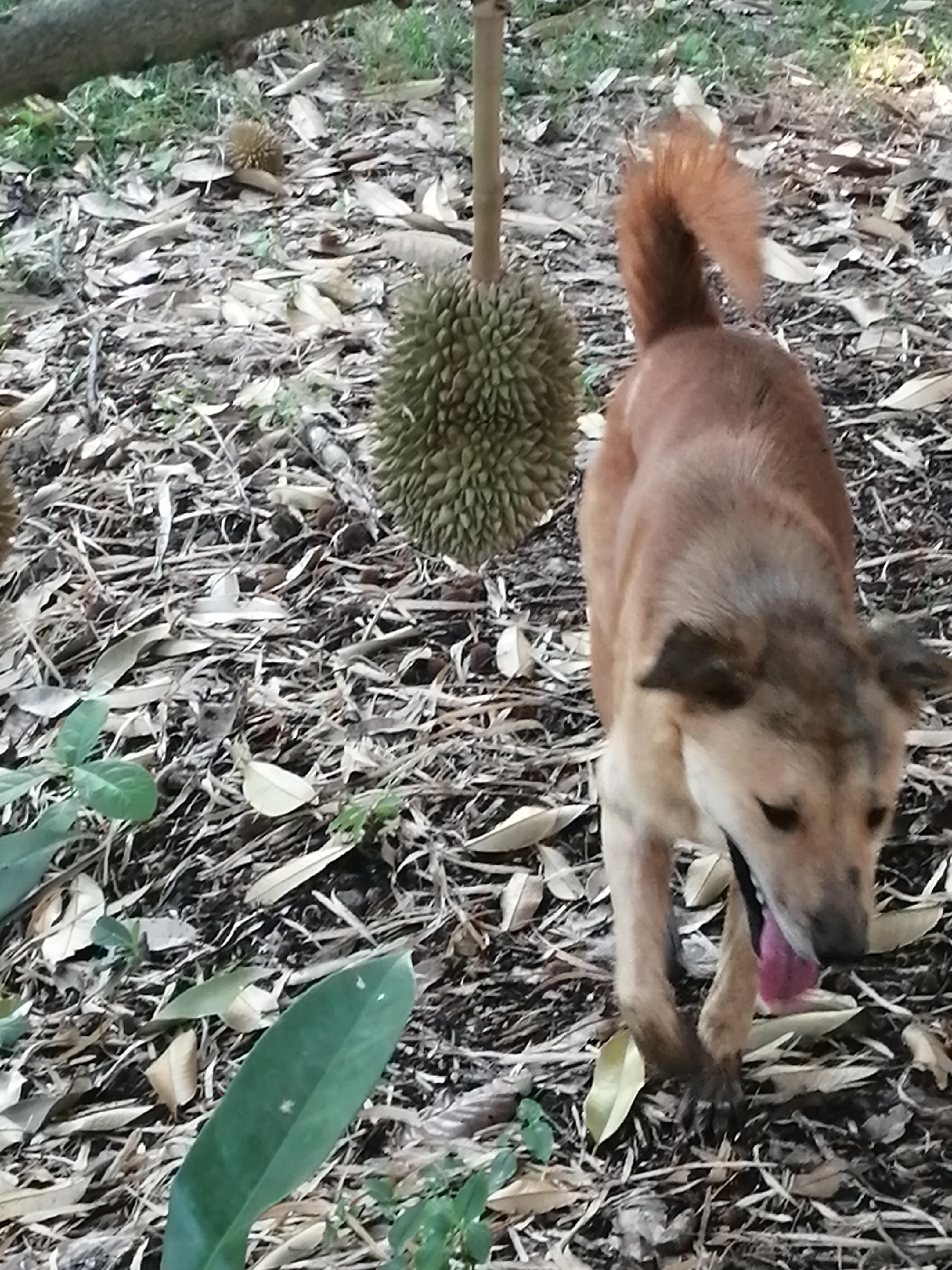 DJ_amazing_ X profile image