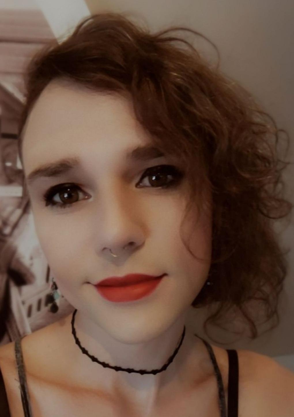 Stray Kitten profile image