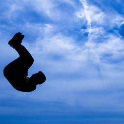 D. P. Welles profile image