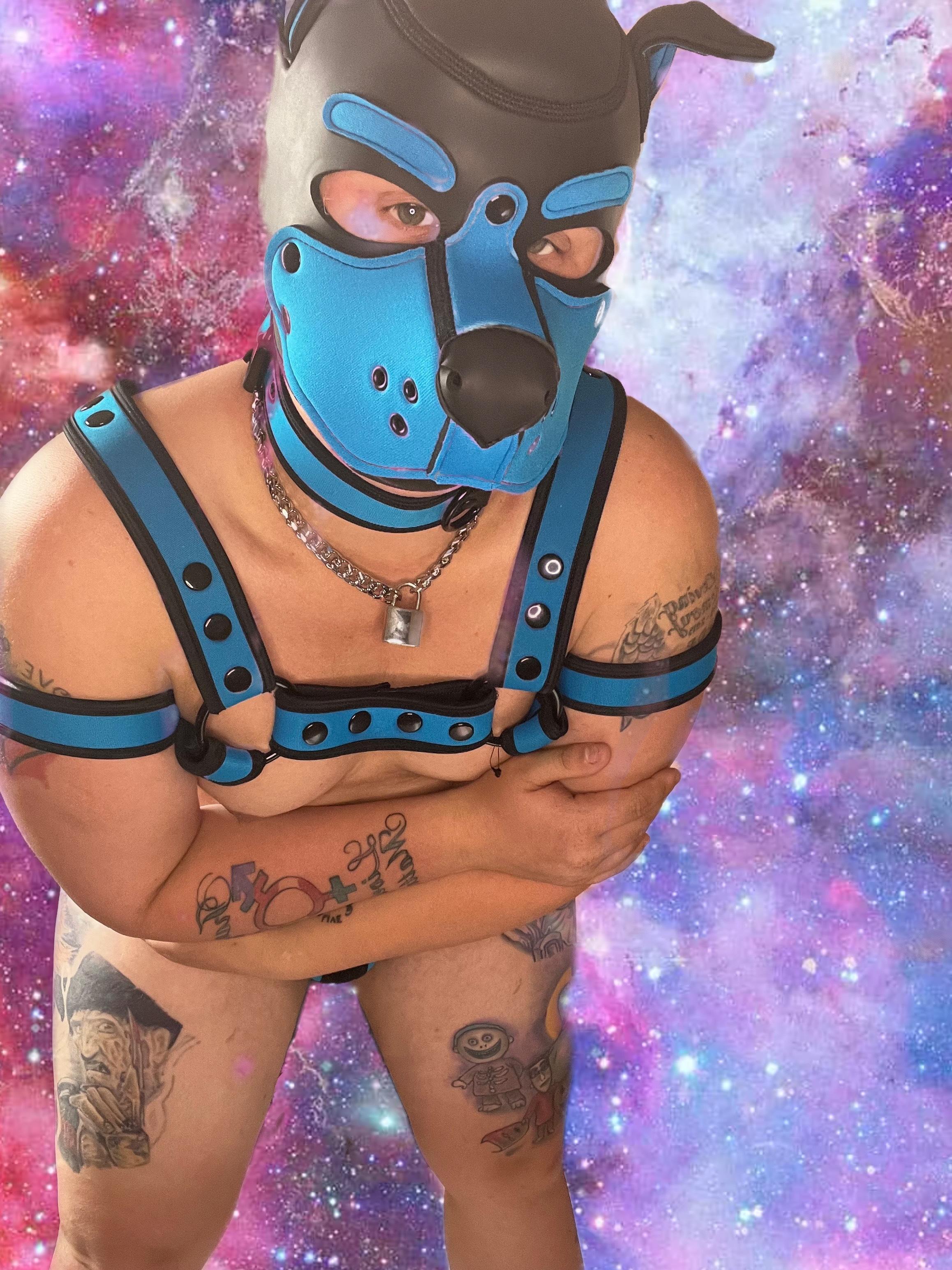 Ariella marieee 🏳️‍⚧️❤️ profile image