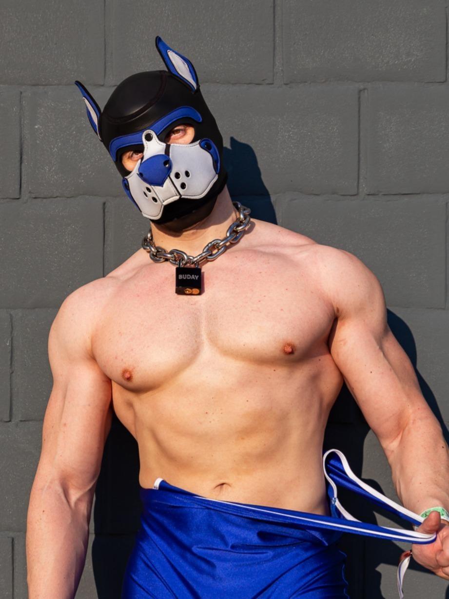 PupBuday profile image