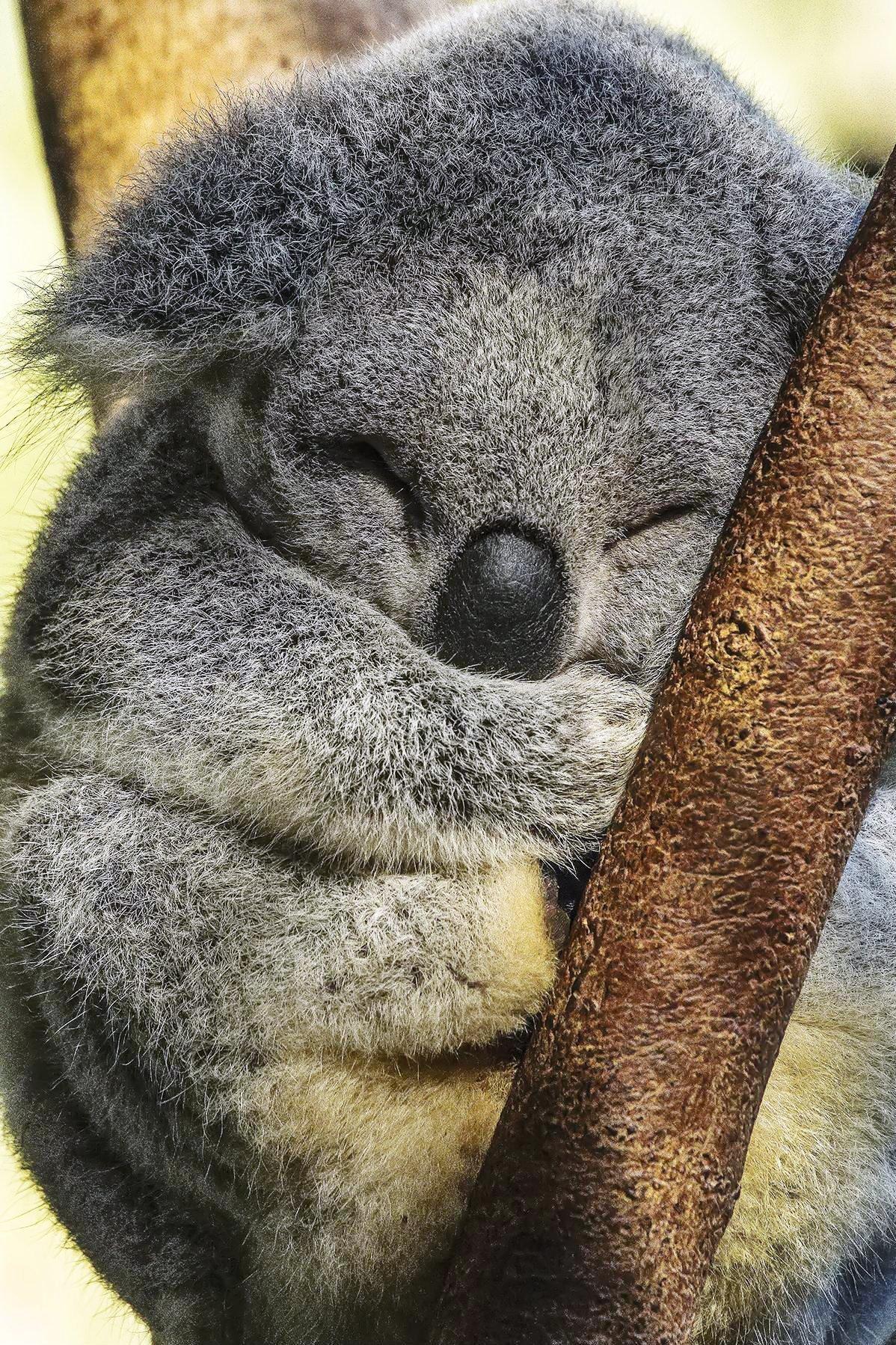 Joemuma profile image