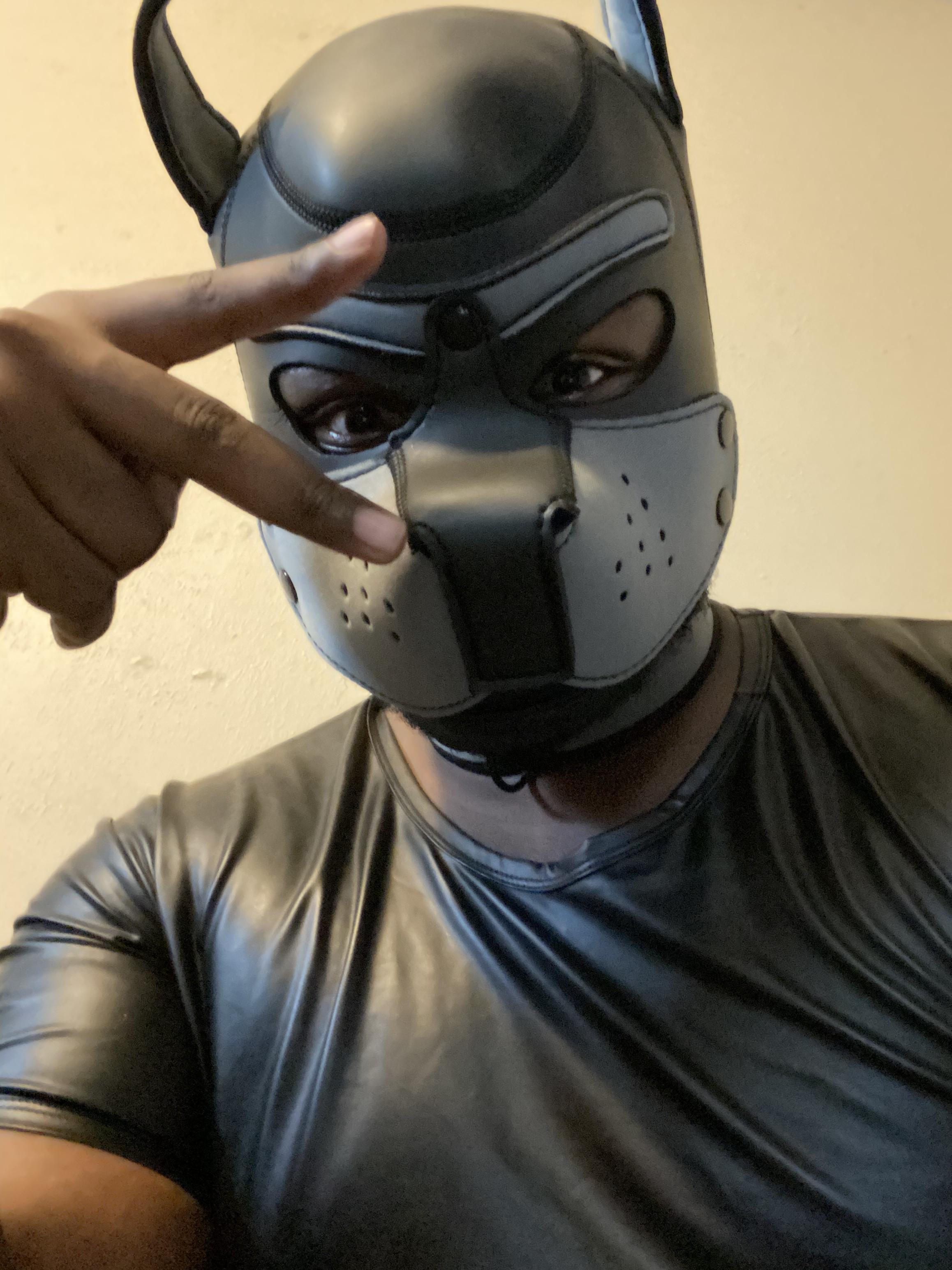 Leo Greypup profile image