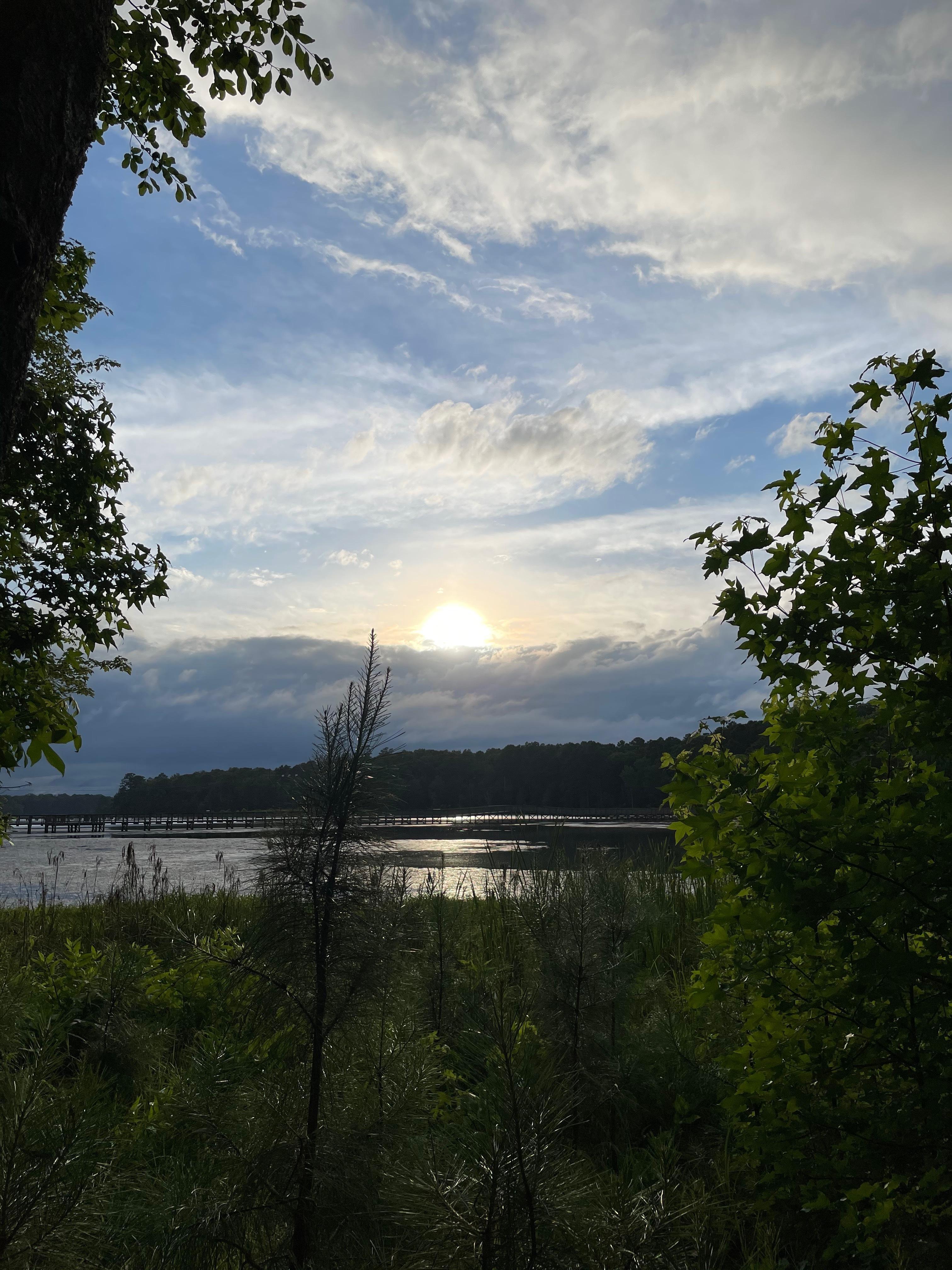 Golden Hammer 🔨 profile image