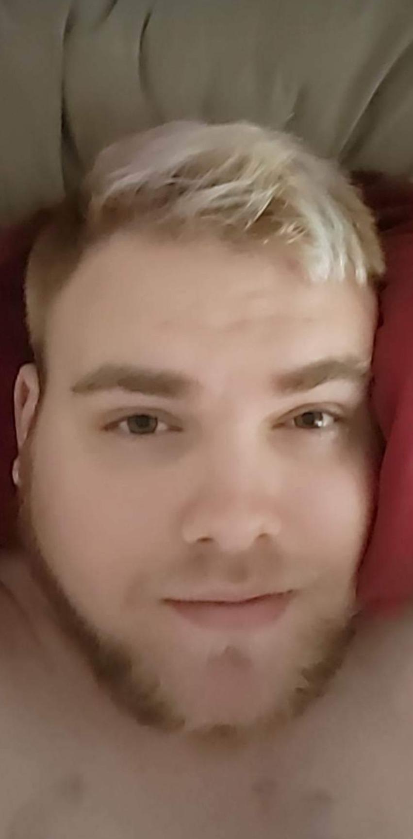 OddlyNobleBear and Wolfpup profile image