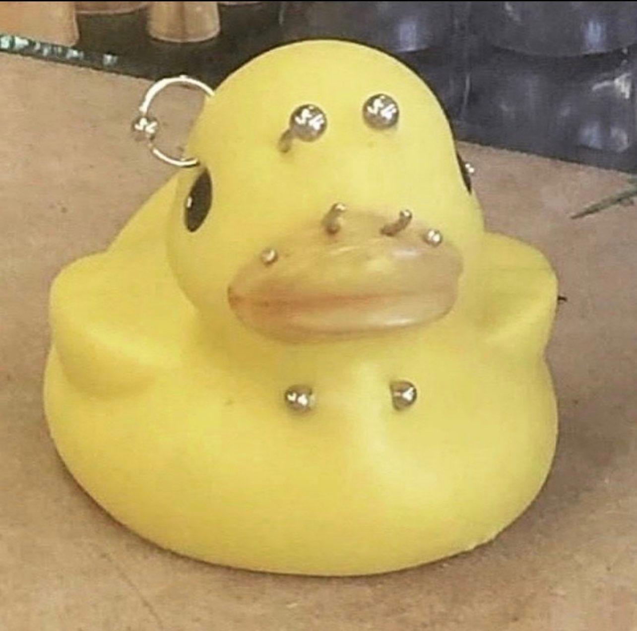 moshpitprince profile image