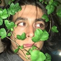 Ant Honey profile image