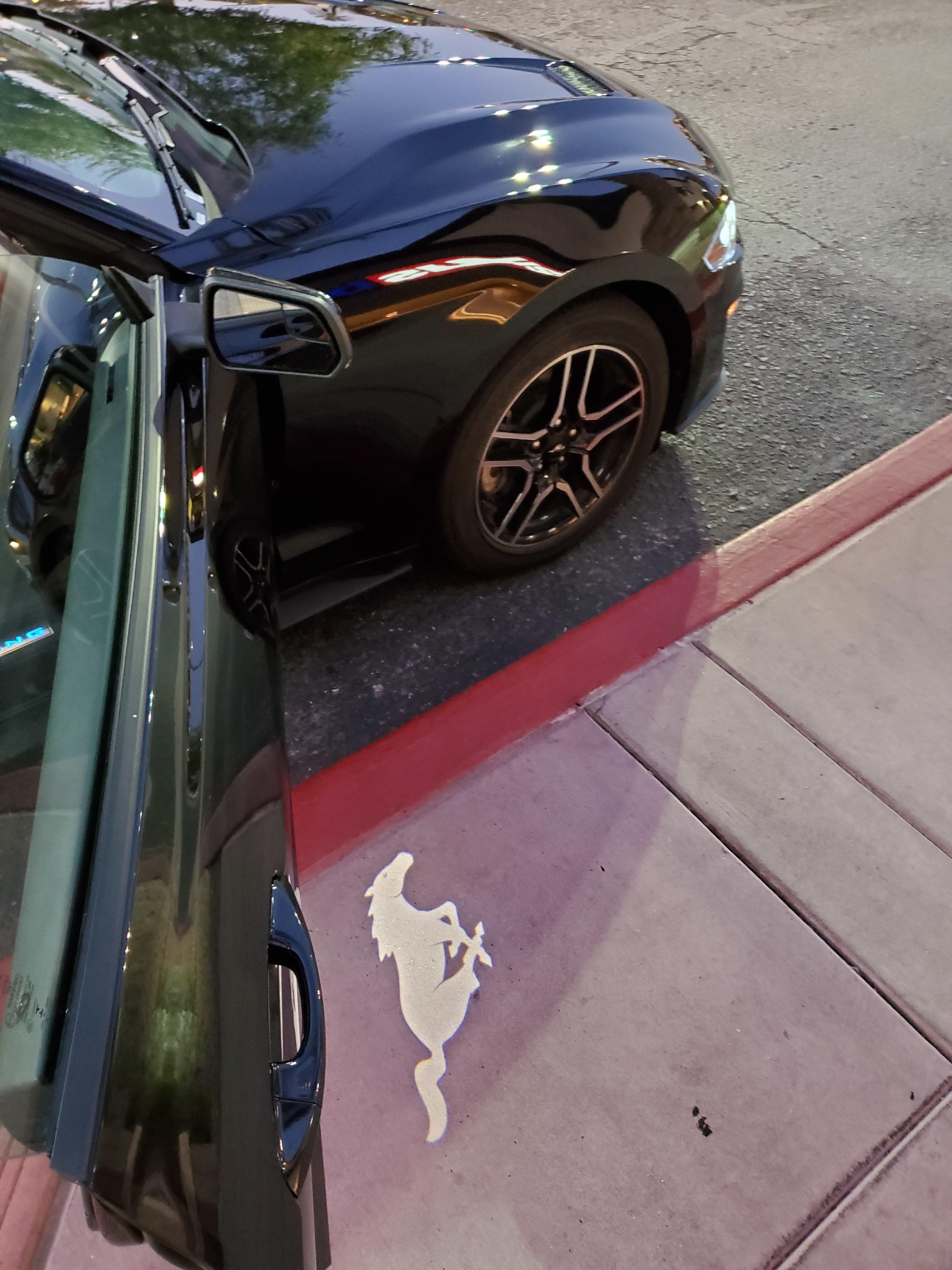 Sasha Daniels profile image