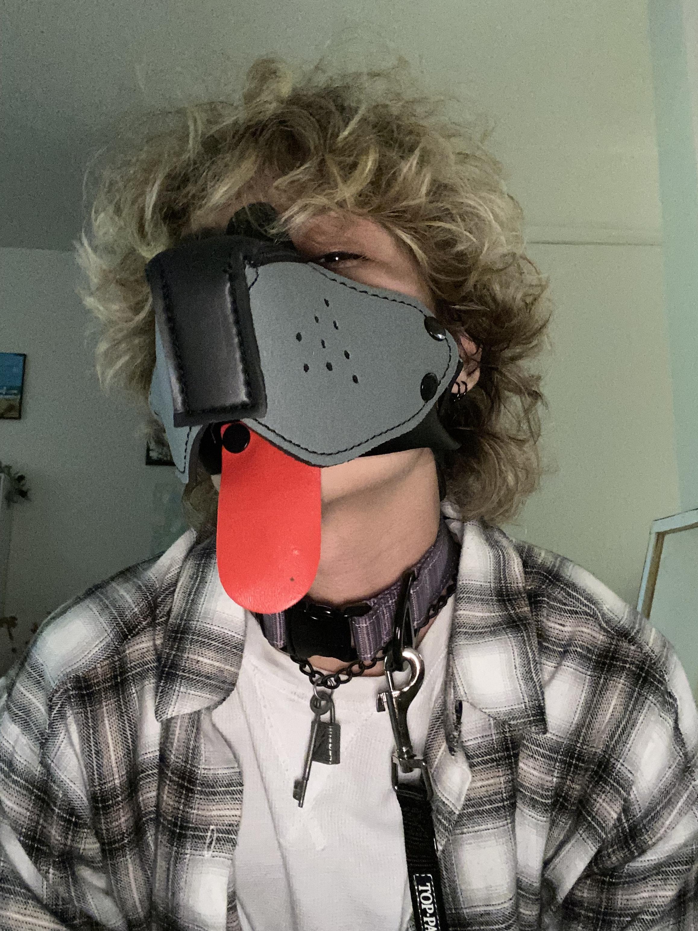 good boy🐾 profile image