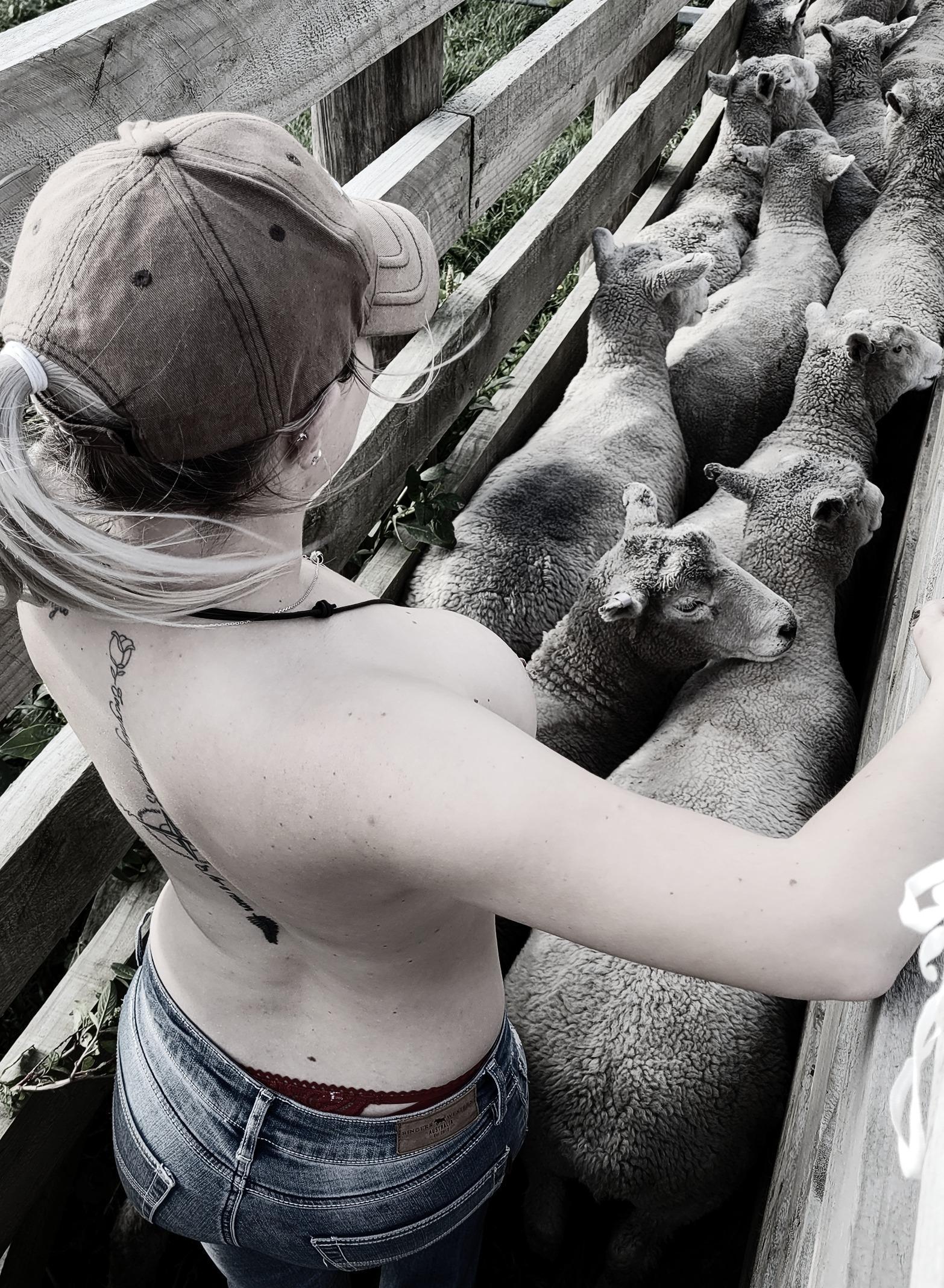 Lacy Larson profile image