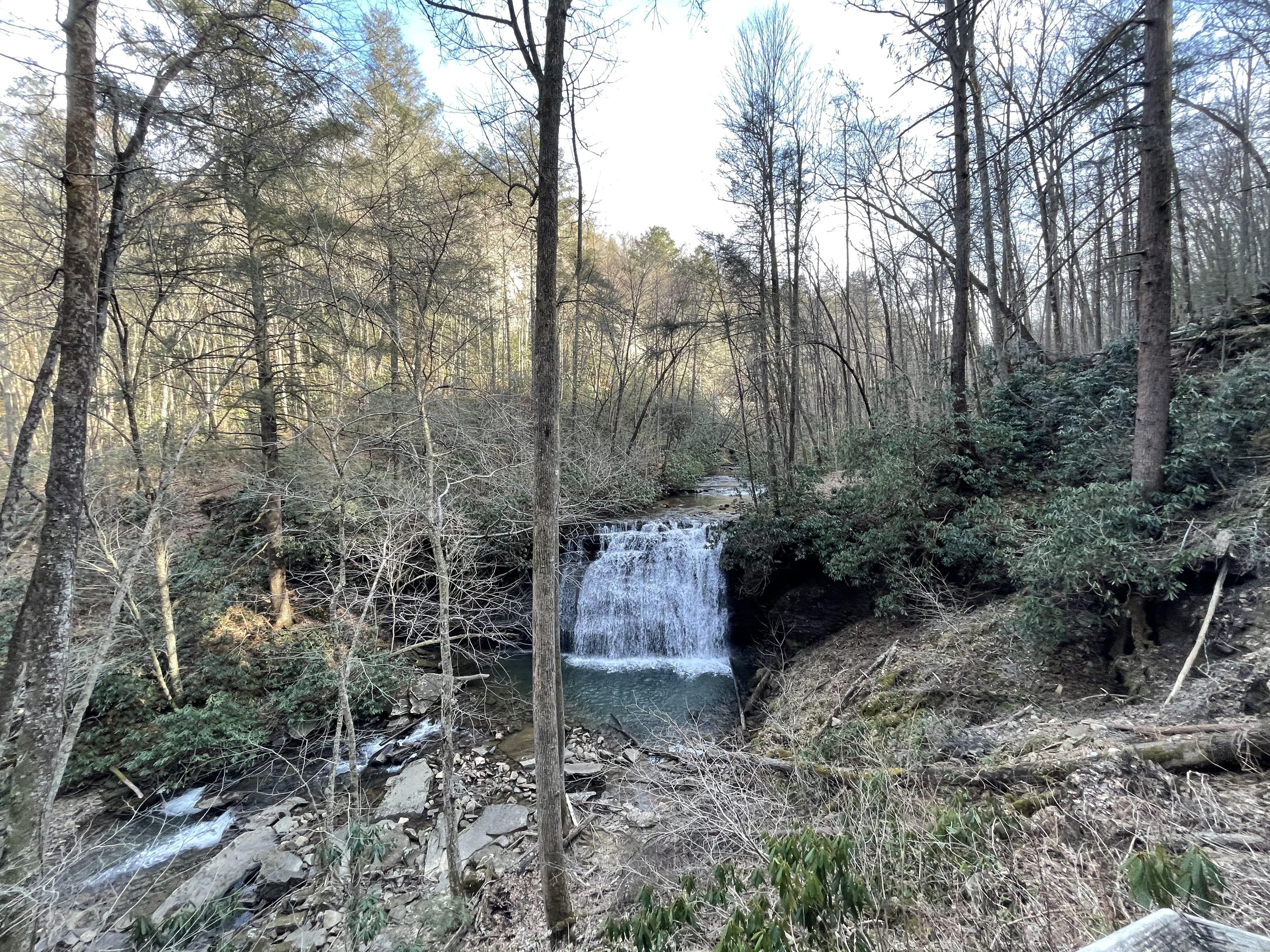 Zoey Trinkle profile image