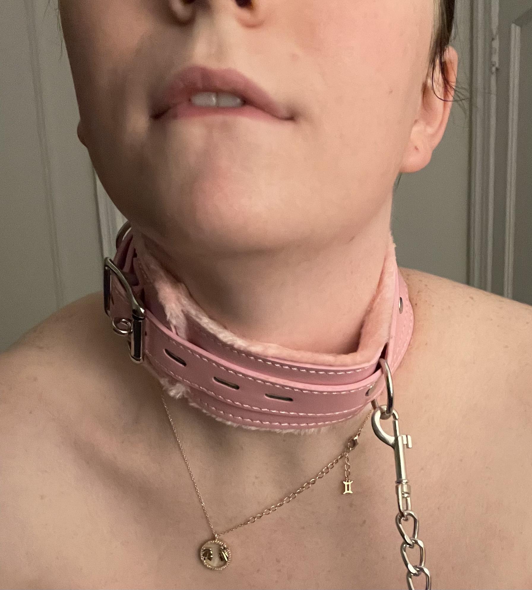 Summer Rose 🥀 profile image