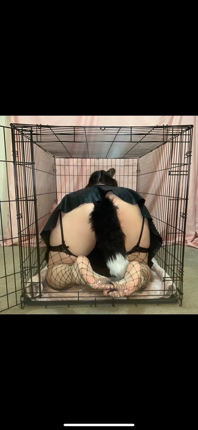 MagicalKittyyy 💕 profile image