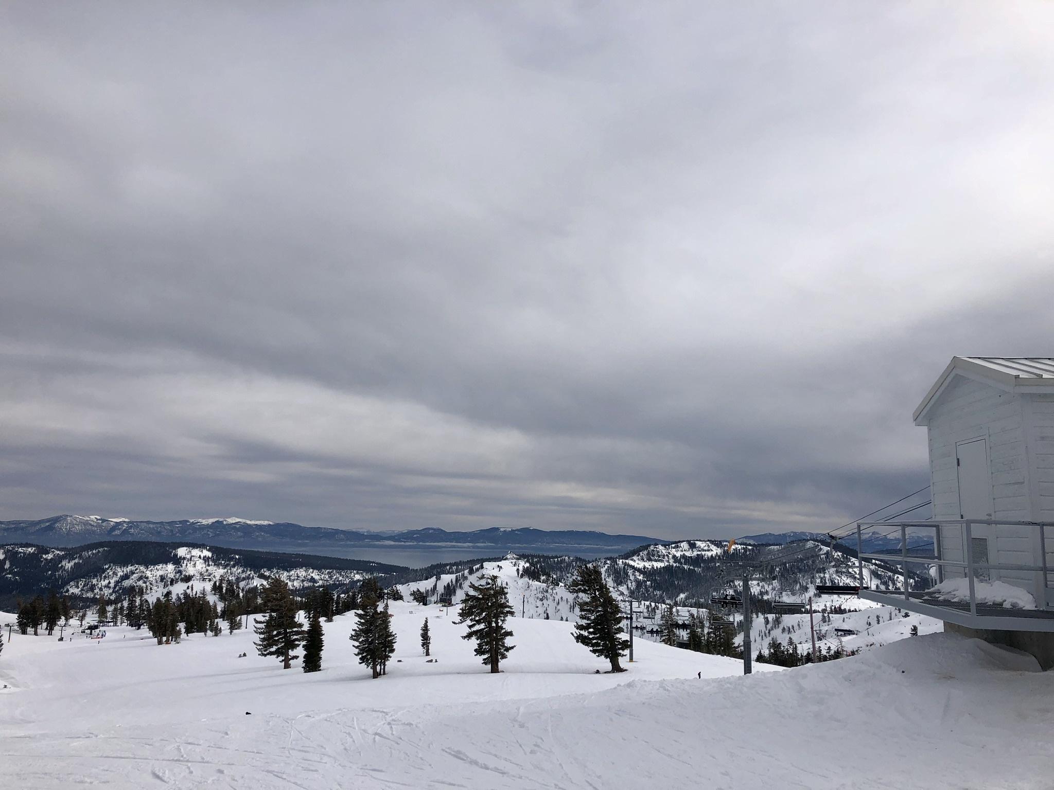 Juicy_fruit profile image