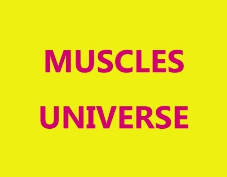 Muscle Universe 🔞 profile image