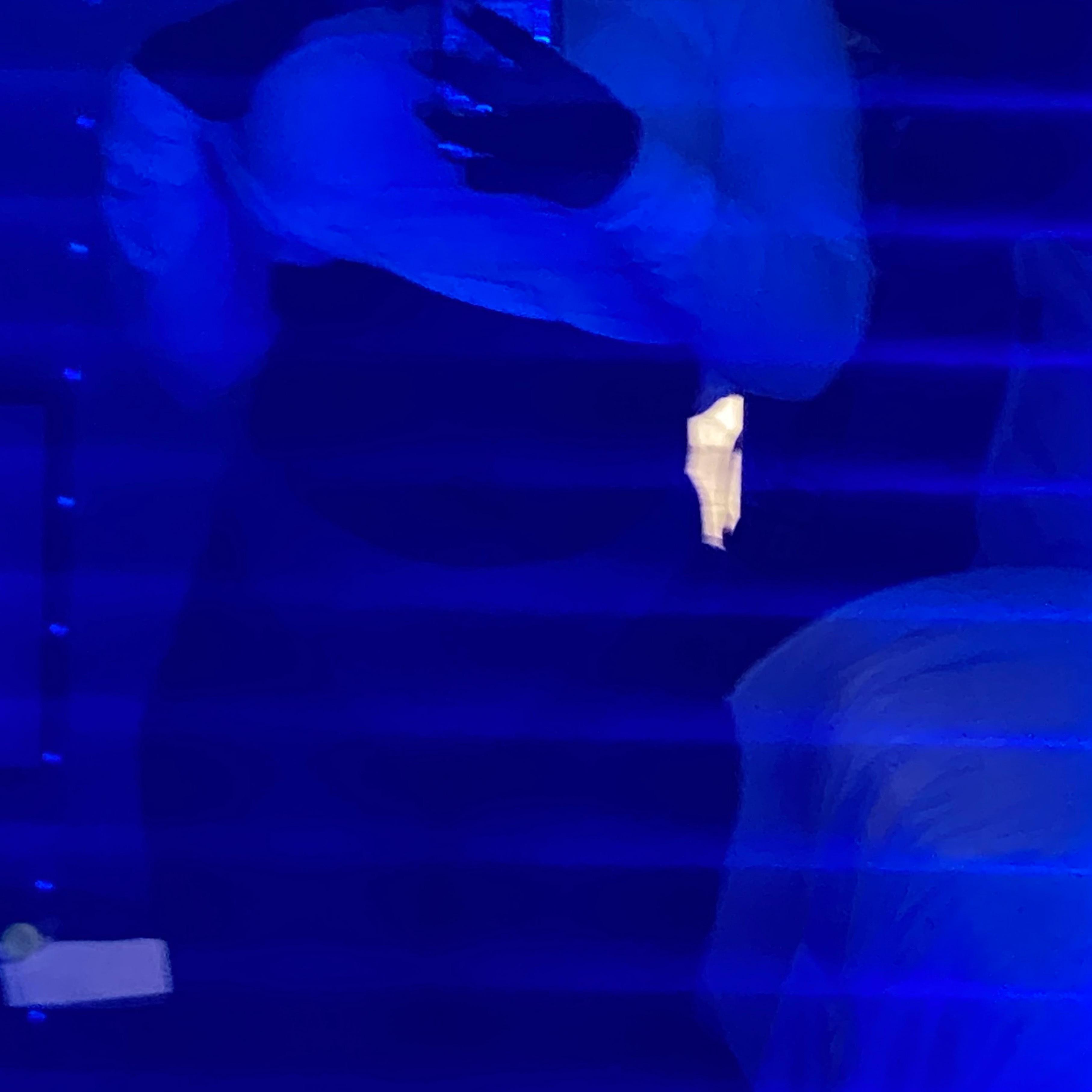 Luv 👑 profile image