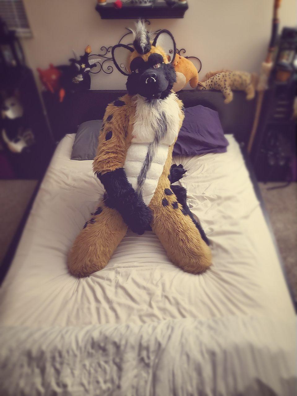 Big Daddy Steel profile image