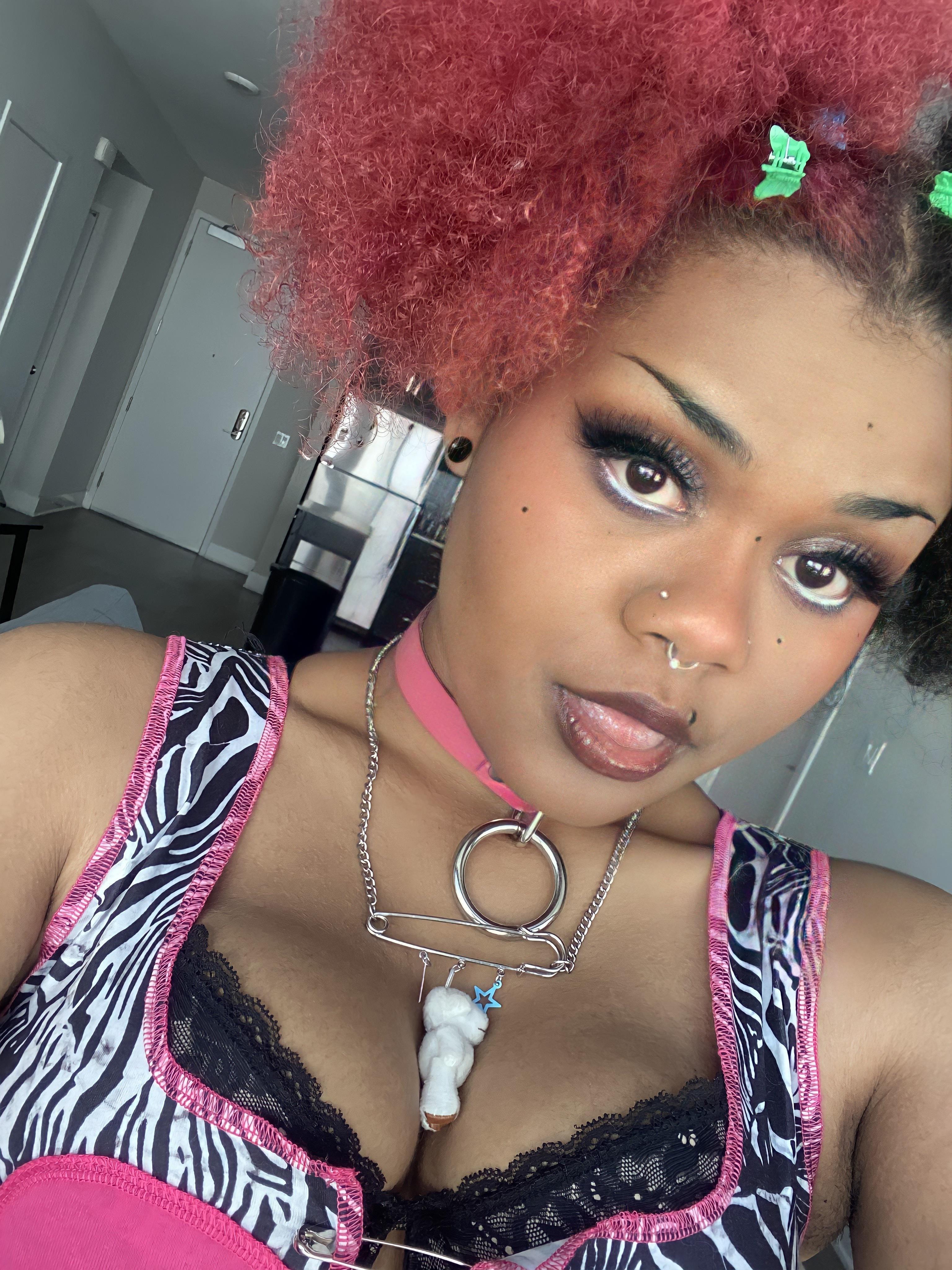 Barbie Bear 🐼 profile image