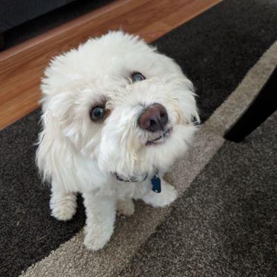 Magnious profile image