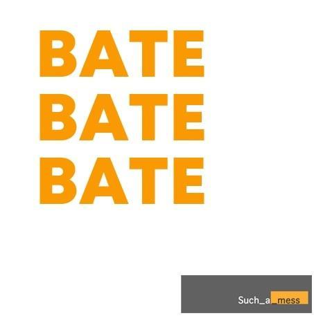 Such_a_mess-bate profile image