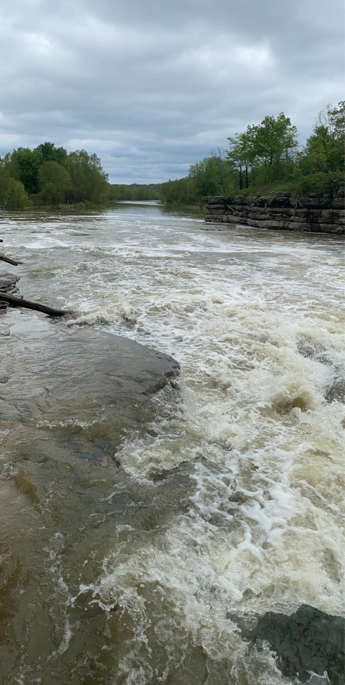 Alex Price profile image