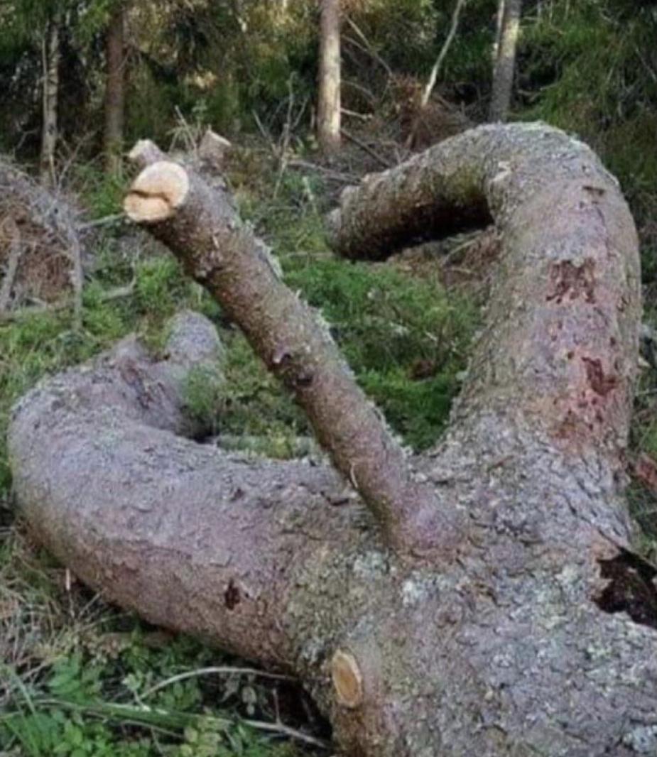 Energee profile image