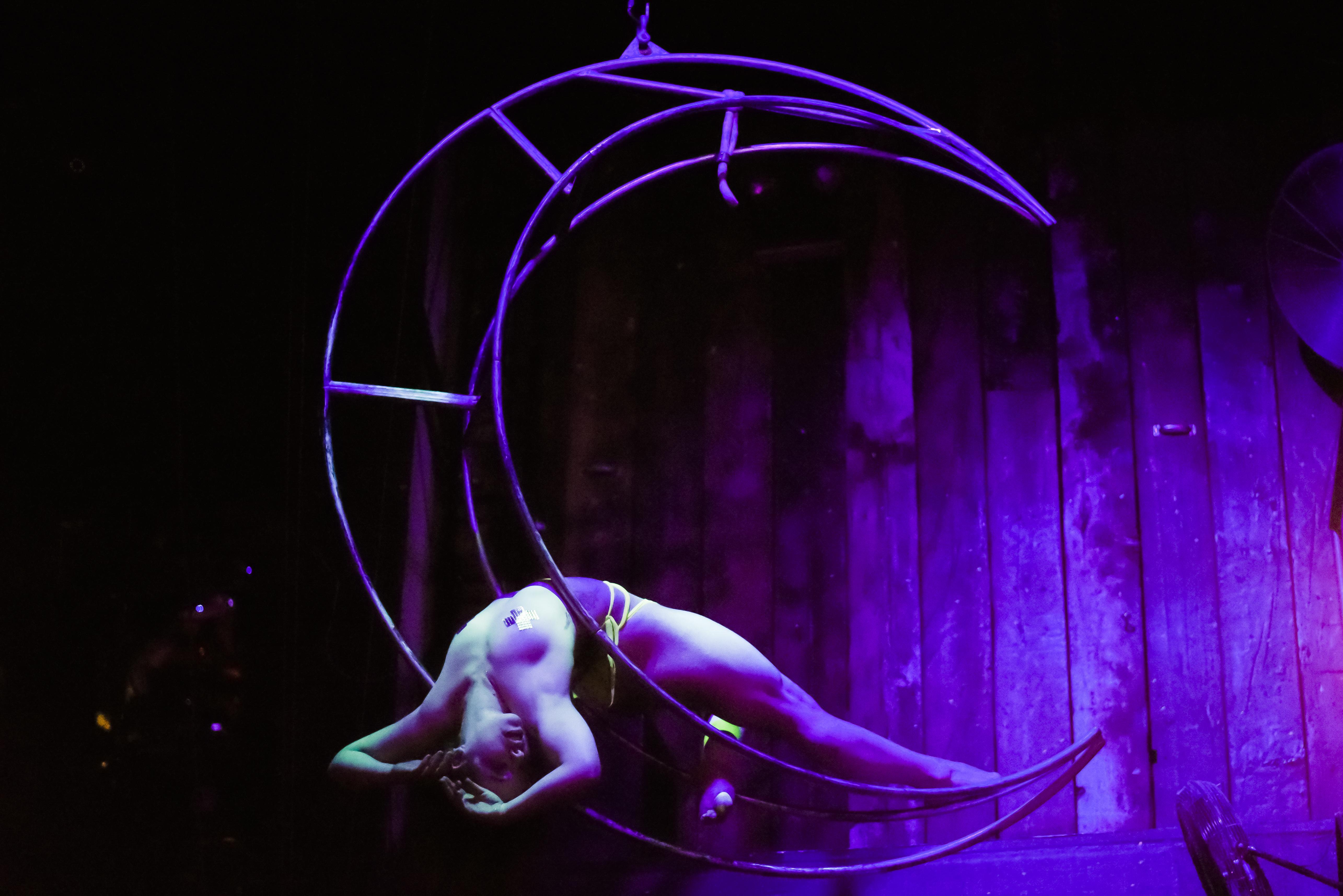 Alaska profile image