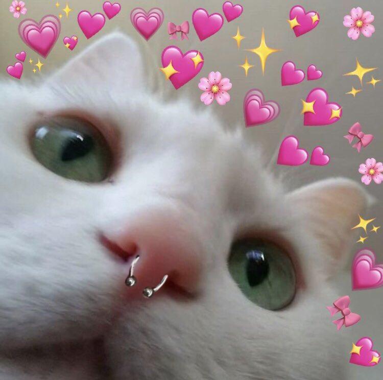 Detka🦇 profile image