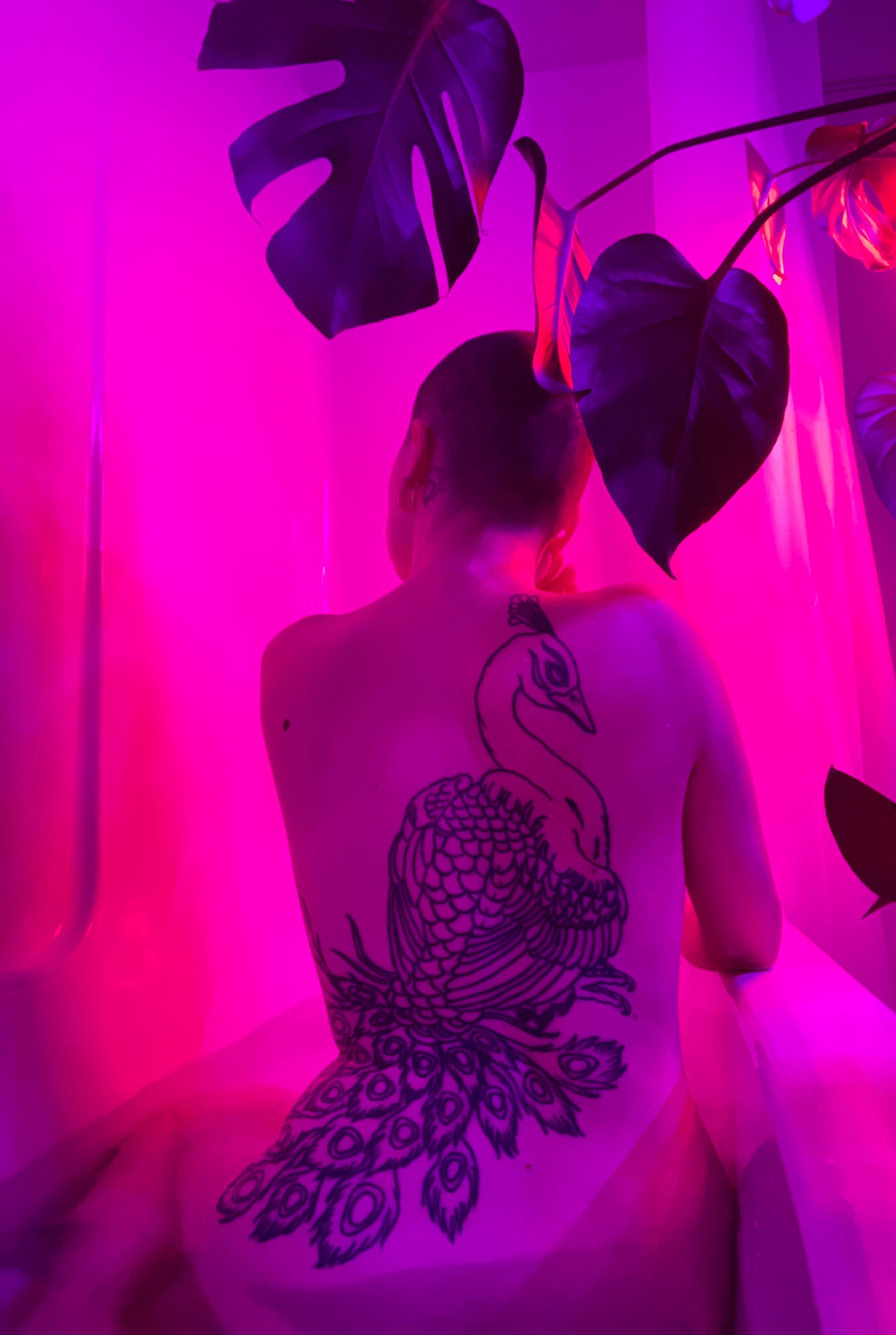 Venus Nyxx profile image