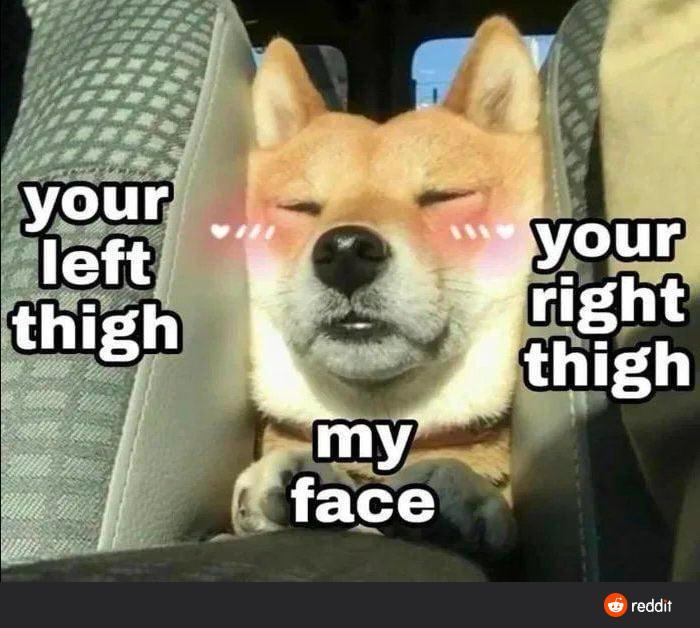 Dirty Little Secret 🤫 profile image